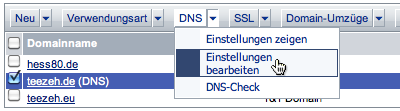 1&1 Domains DNS-Einstellungen bearbeiten