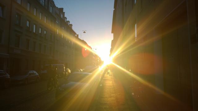 Morning Sun