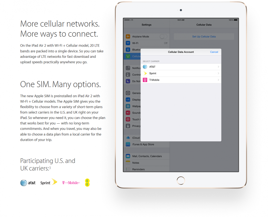 Apple SIM